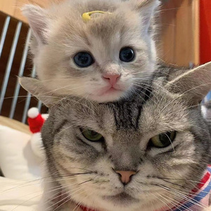 国产男女无套✅免费网站粉色
